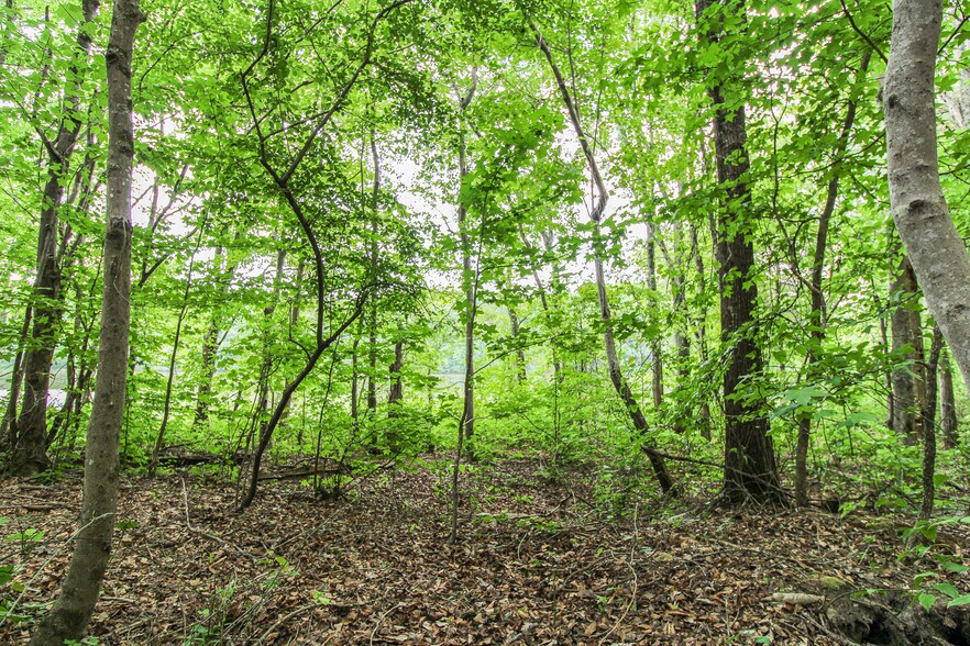 More Photos Of Powell Rd, Statham Land For Sale