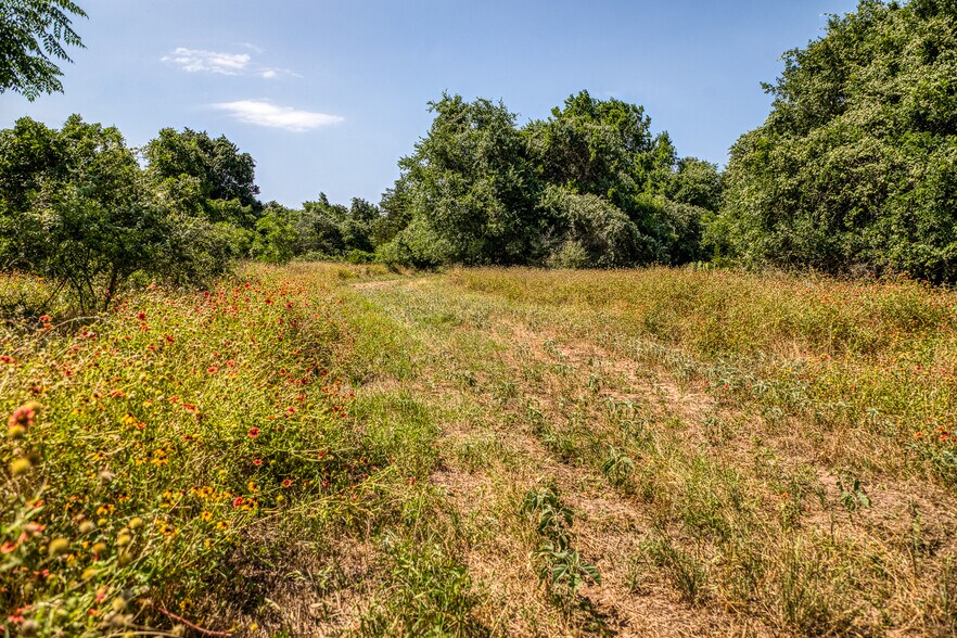 More Photos Of TBD (+/-88 Acres) Smith Rd, Bastrop Land For Sale