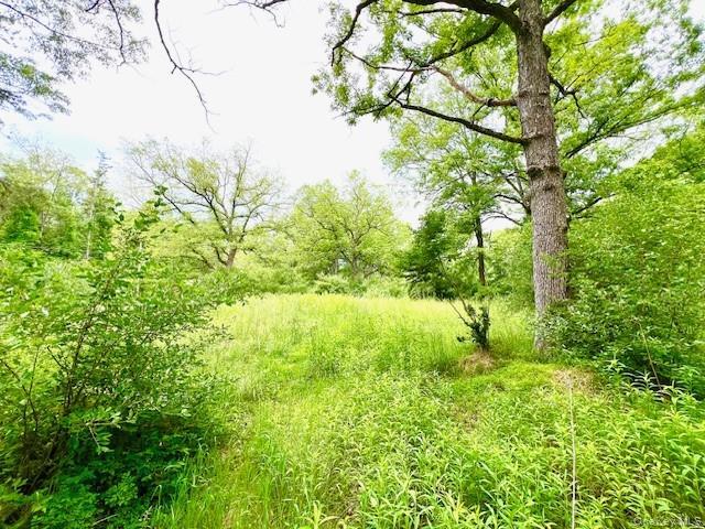 More Photos Of 7584 NY-97, Narrowsburg Land For Sale