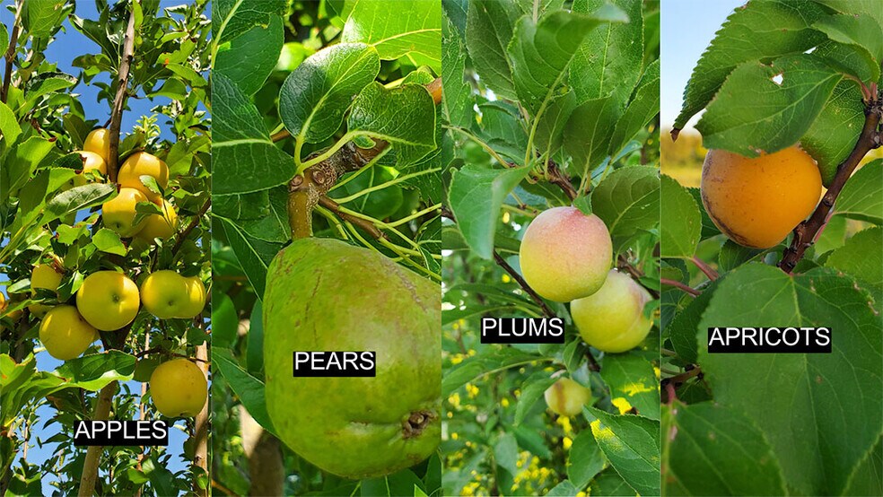 More Photos Of 13915 US 70, Fort Thomas Land For Sale