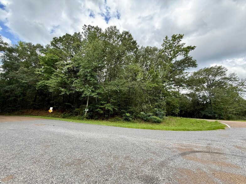 More Photos Of 2194 MS-570, Summit Land For Sale