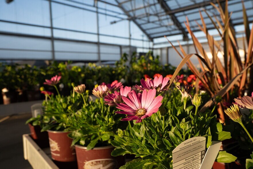 More Photos Of 1355 N Barlow St, Cornelius Winery Vineyard For Sale