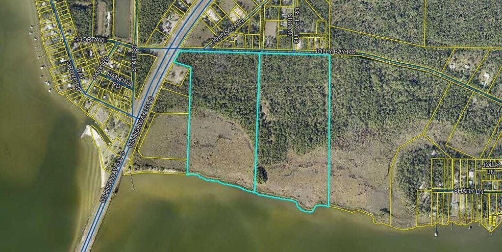 Primary Photo Of Hwy 331 S & Jolly Bay Road, Freeport Land For Sale
