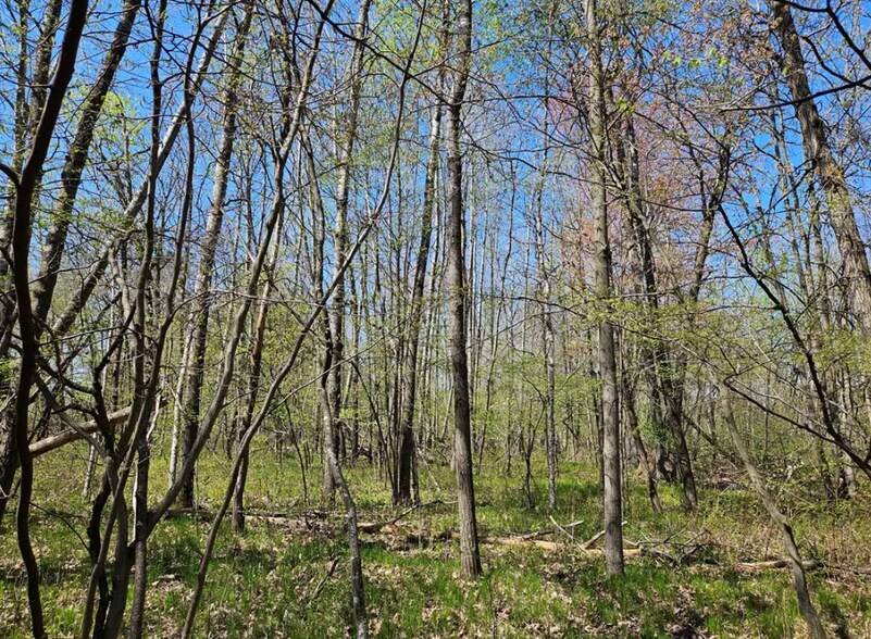 More Photos Of 2935 S Wisconsin Ave, Rice Lake Land For Sale