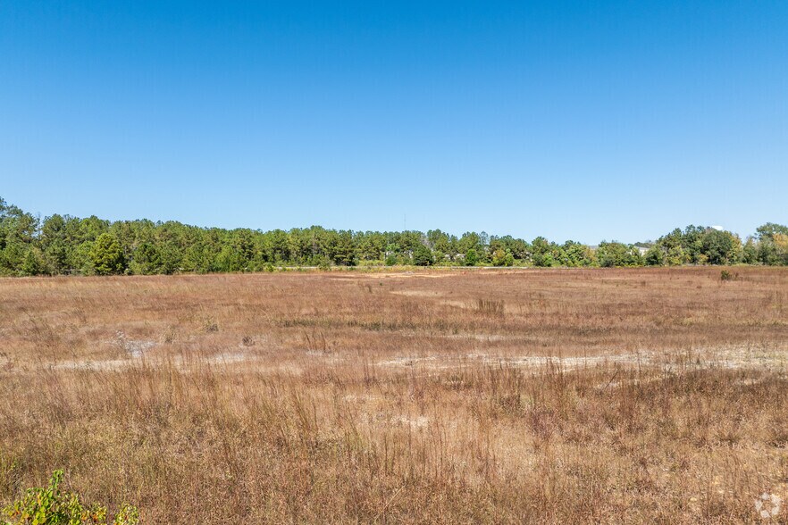 More Photos Of Highway 51 U.S. Highway 51, Magnolia Land For Sale