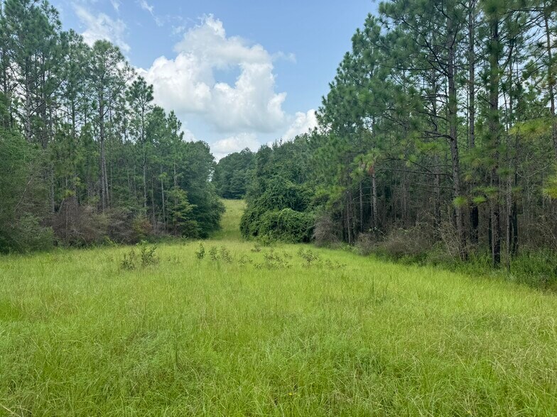 More Photos Of 0 Nokomis Road, Walnut Hill Land For Sale