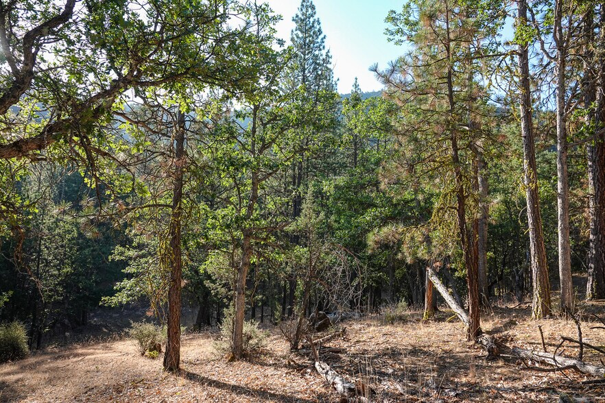 More Photos Of 0 East Rd, Fort Jones Land For Sale