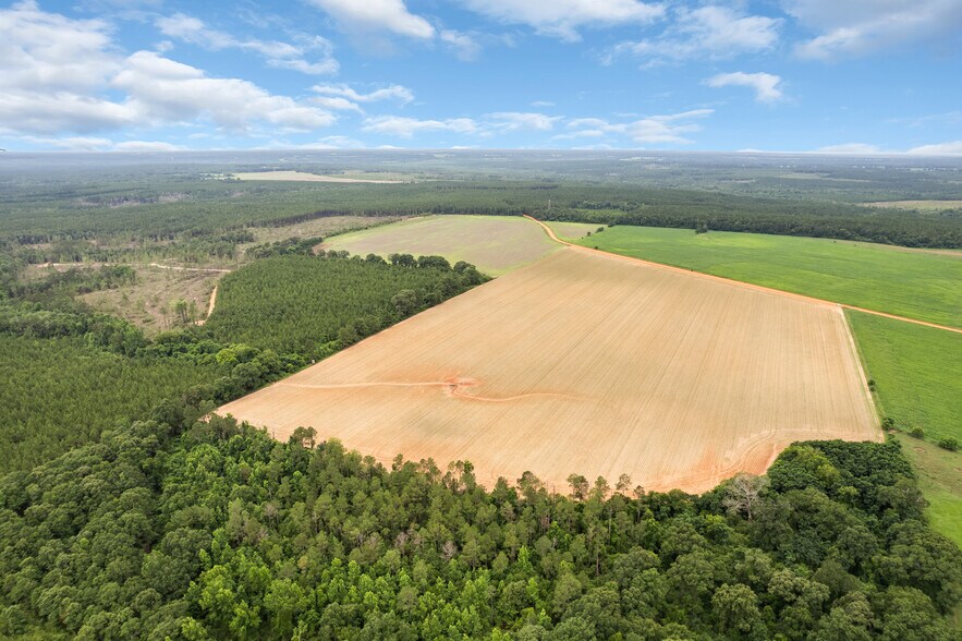 More Photos Of 0 Old Stage rd, Repton Land For Sale