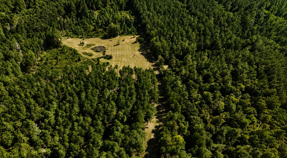 More Photos Of 92 Lillian Strong rd, Carlton Land For Sale