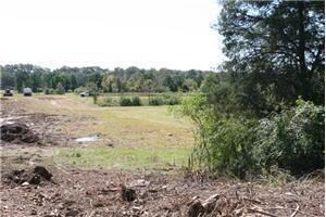 More Photos Of 2415 E Oak St, Conway Land For Sale