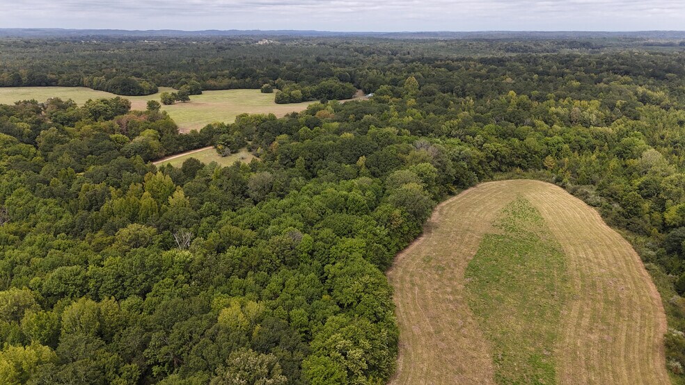 More Photos Of 6040 AL-28, Pine Apple Lodge Meeting Hall For Sale