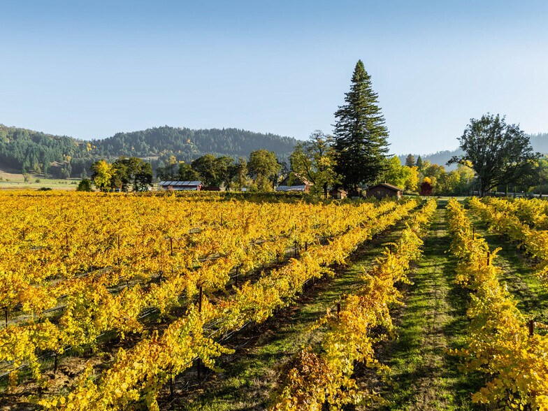 More Photos Of 8690 Lookingglass Rd, Roseburg Land For Sale