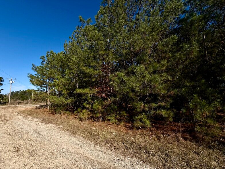 More Photos Of 4212 US Highway 378 W, Mc Cormick Land For Sale