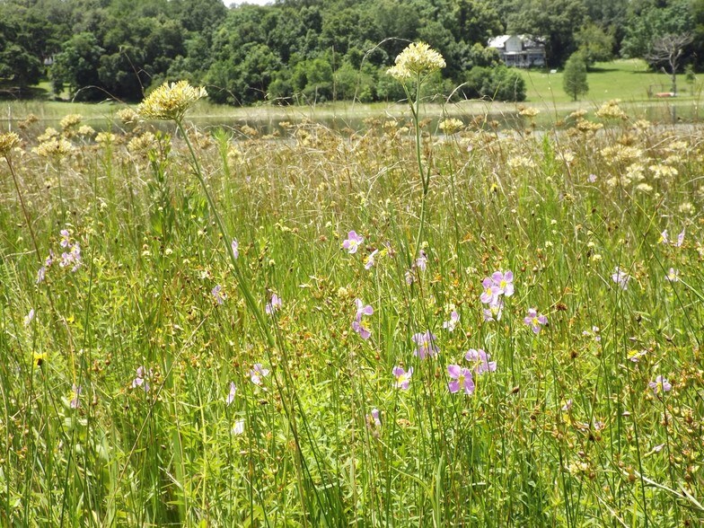 More Photos Of Myrtle Lake Ave, Fruitland Park Land For Sale