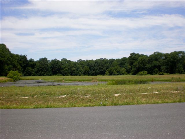 More Photos Of 8930 Mistletoe Dr, Easton Land For Lease