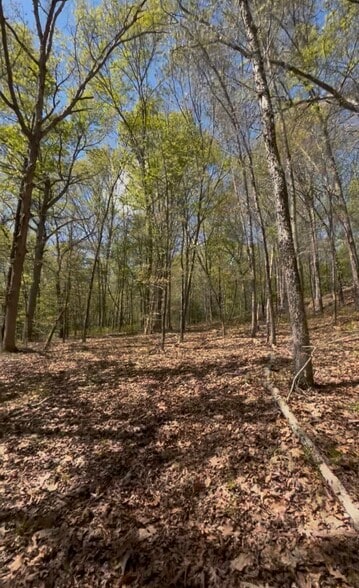 More Photos Of 17 McKay st, Norwich Land For Sale