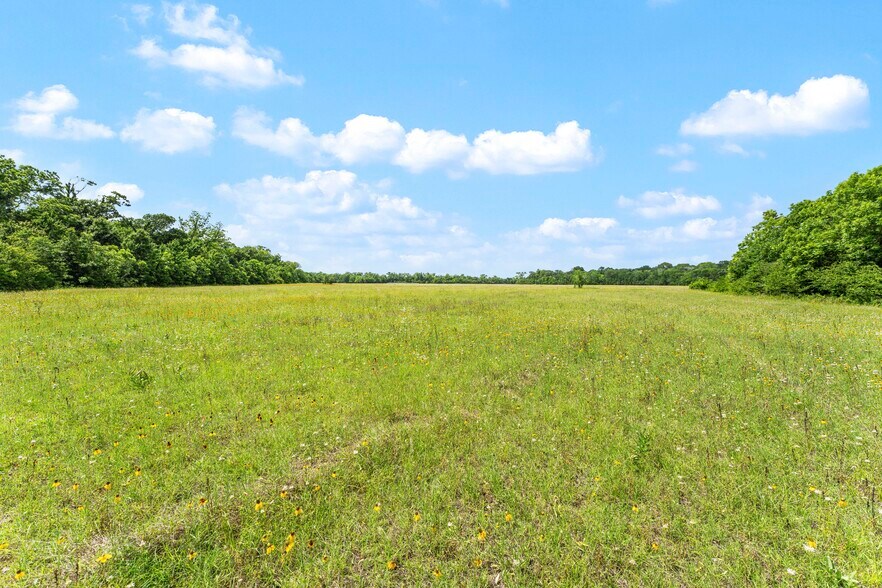 More Photos Of 10840 FM 442, Boling Land For Sale