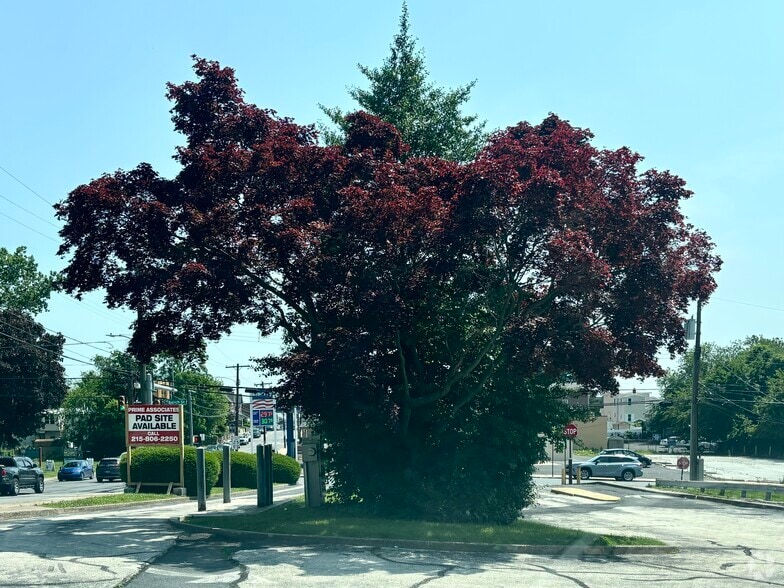 Primary Photo Of 220 W Baltimore Ave, Clifton Heights Land For Lease