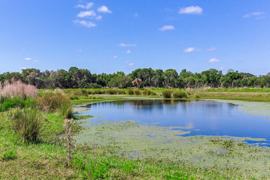 More Photos Of 419 Jameson Rd, Lithia Land For Sale