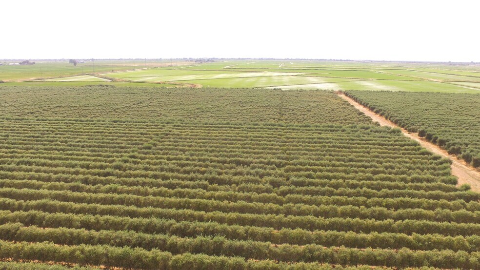 More Photos Of Cottonwood Road @ Hwy 99 & Hwy 70, Oroville Land For Sale