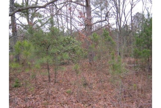 More Photos Of 0 Ridge Rd, Hiram Land For Sale