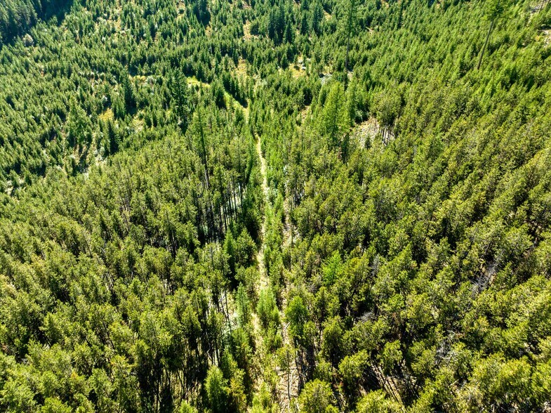 More Photos Of Nhn Logan Creek Road, Kila Land For Sale