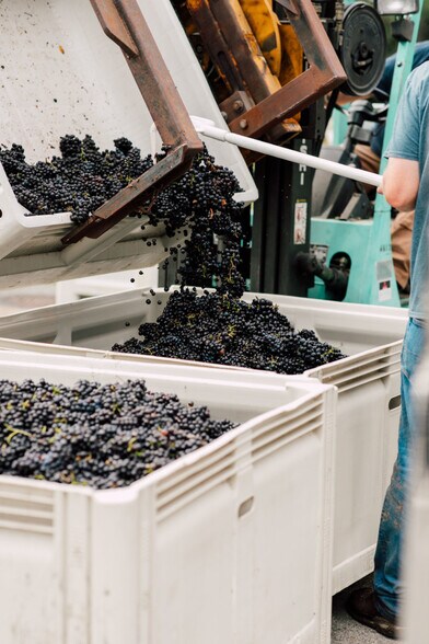 More Photos Of 4290 Mt Baker hwy, Everson Winery Vineyard For Sale