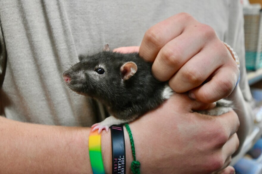 More Photos Of 115 S Main St, Yreka General Retail For Sale