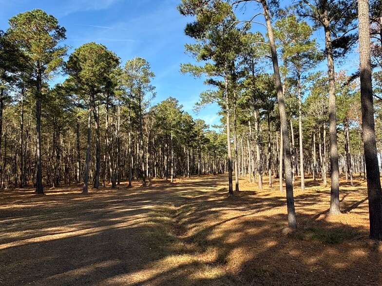 More Photos Of 0 Norfleet Shores Road, Belhaven Land For Sale