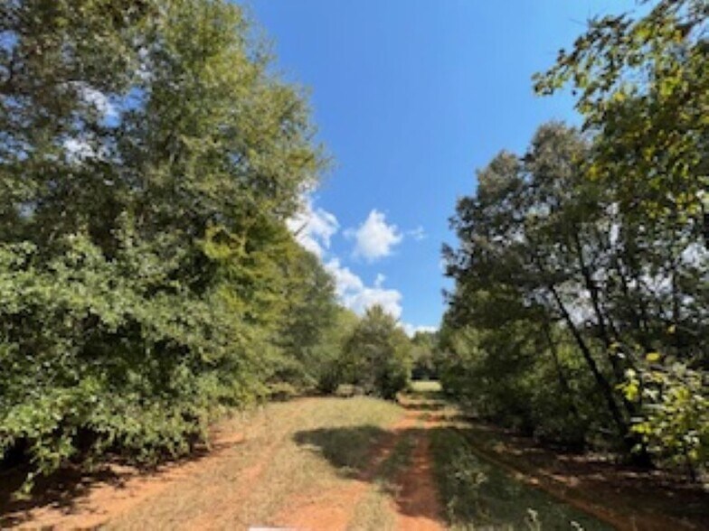 More Photos Of 21805 U.S. HWY 69S hwy, Bullard Land For Sale