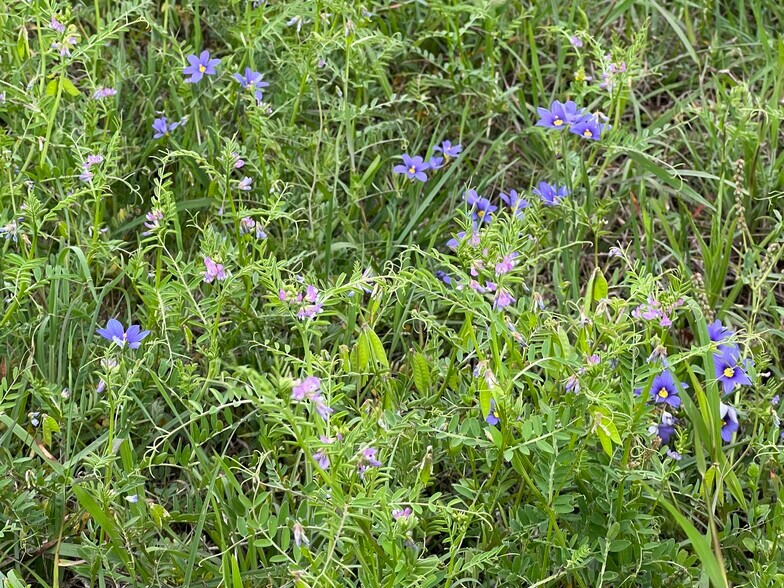 More Photos Of Highway 90A, Shiner Land For Sale