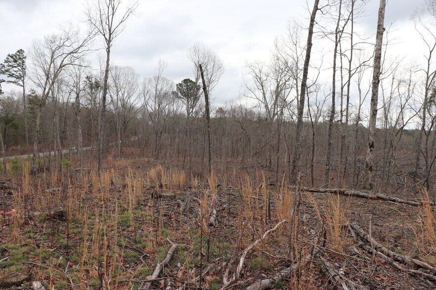 More Photos Of Knox Bridge Hwy @ Knox Bridge & Ficklen Church Hwy, Canton Land For Sale