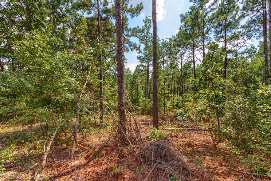 More Photos Of TBD State Hwy 64, Tyler Land For Sale