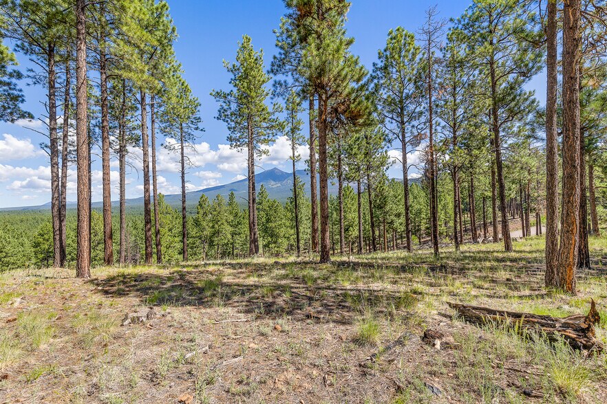 More Photos Of 2251 Kramer St, Flagstaff Land For Sale