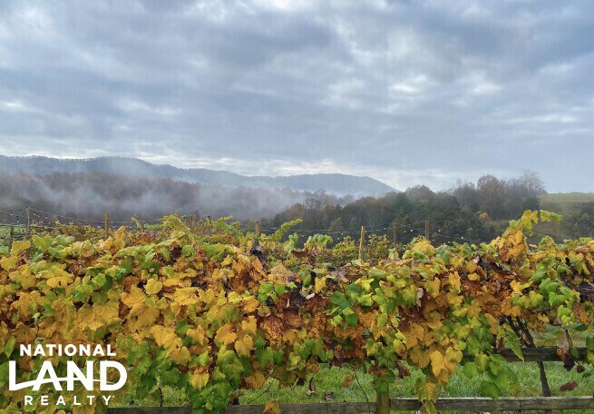 More Photos Of 3899 Eakin Farm Rd, Blacksburg Winery Vineyard For Sale