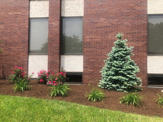 More Photos Of 255 E Lake St, Bloomingdale Office For Lease