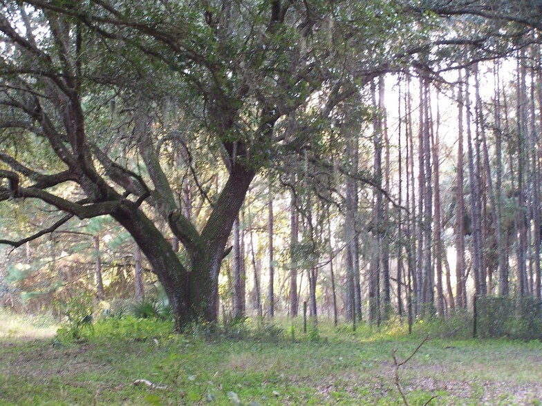 More Photos Of Powell Rd, Brooksville Land For Sale