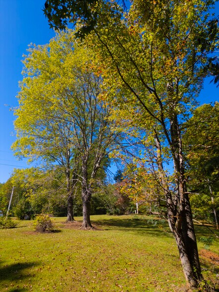 More Photos Of 000 Oconee Station Road, Walhalla Land For Sale