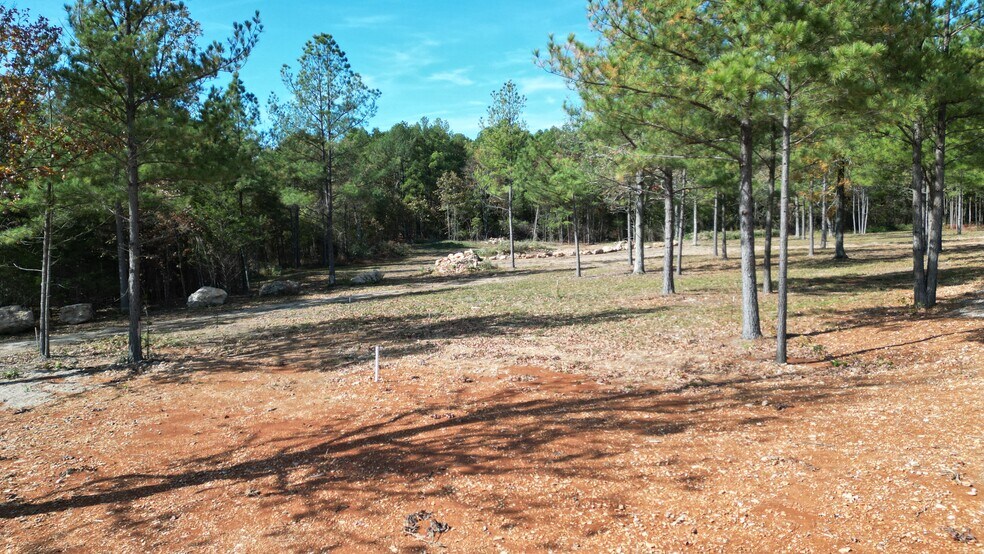 More Photos Of 10 Elks Drive and Hospital Drive Dr, Cherokee Village Trailer Camper Park For Sale