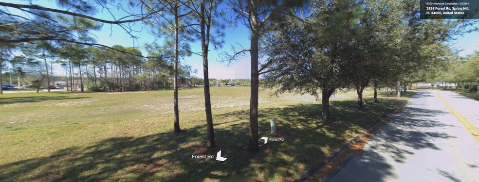 More Photos Of Forest Rd., Spring Hill Land For Sale