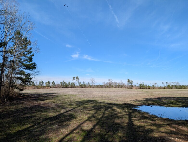 More Photos Of 522 Plum Nearly Ln, Trenton Land For Sale