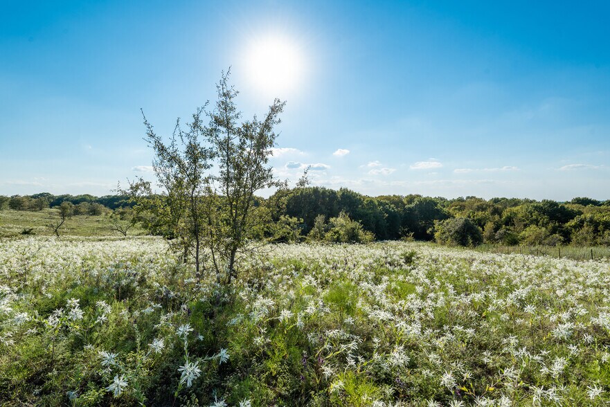 More Photos Of 749 Stacks Rd, Ennis Land For Sale