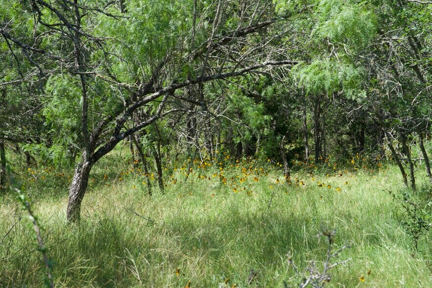 More Photos Of 00 Taylorsville Rd, Red Rock Land For Sale