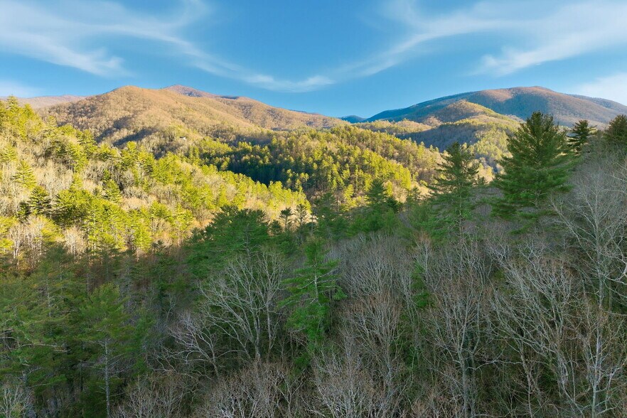 More Photos Of 0 Georgia 75/17, Hiawassee Land For Sale