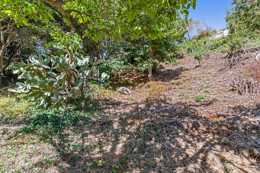 More Photos Of 614 Cragmont Ave, Berkeley Land For Sale