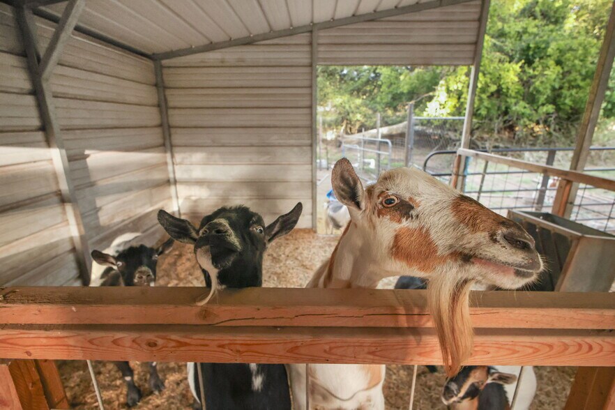 More Photos Of 319 Los Indios Ranch Rd, Boerne Specialty For Sale