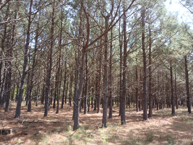 More Photos Of 414000 E 1920 Rd, Antlers Land For Sale