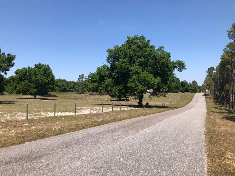 More Photos Of 3405 W Ponkan Rd, Apopka Land For Sale