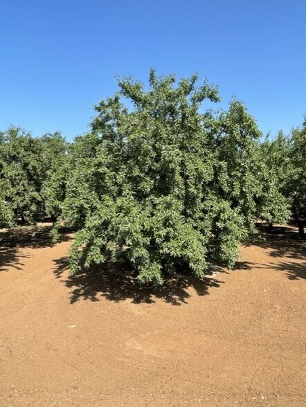 More Photos Of Draper Rd, Newman Land For Sale