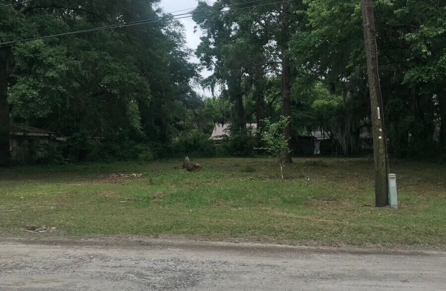 More Photos Of 235 W De Renne Ave, Savannah Land For Sale